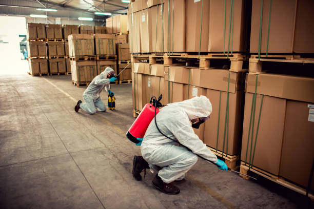 Best Flea Control Services  in Chester Center, CT