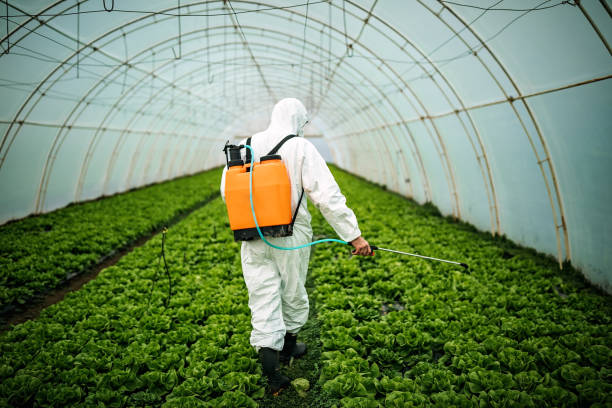 Best Commercial Pest Control Services  in Chester Center, CT