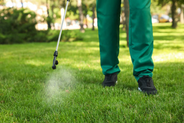 Trusted Chester Center, CT Pest Control Experts