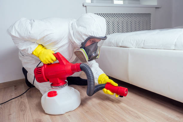 Best Affordable Pest Control Services  in Chester Center, CT