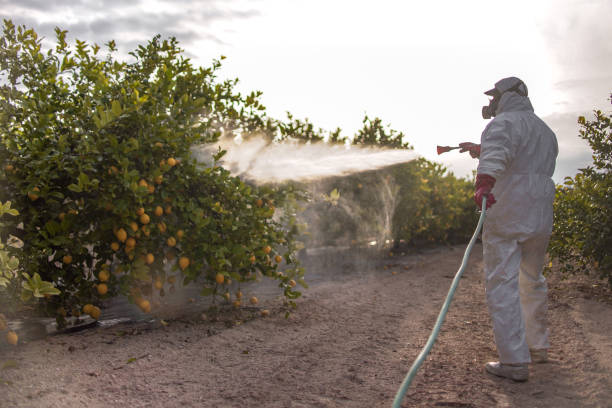 Best Pest Prevention Services  in Chester Center, CT